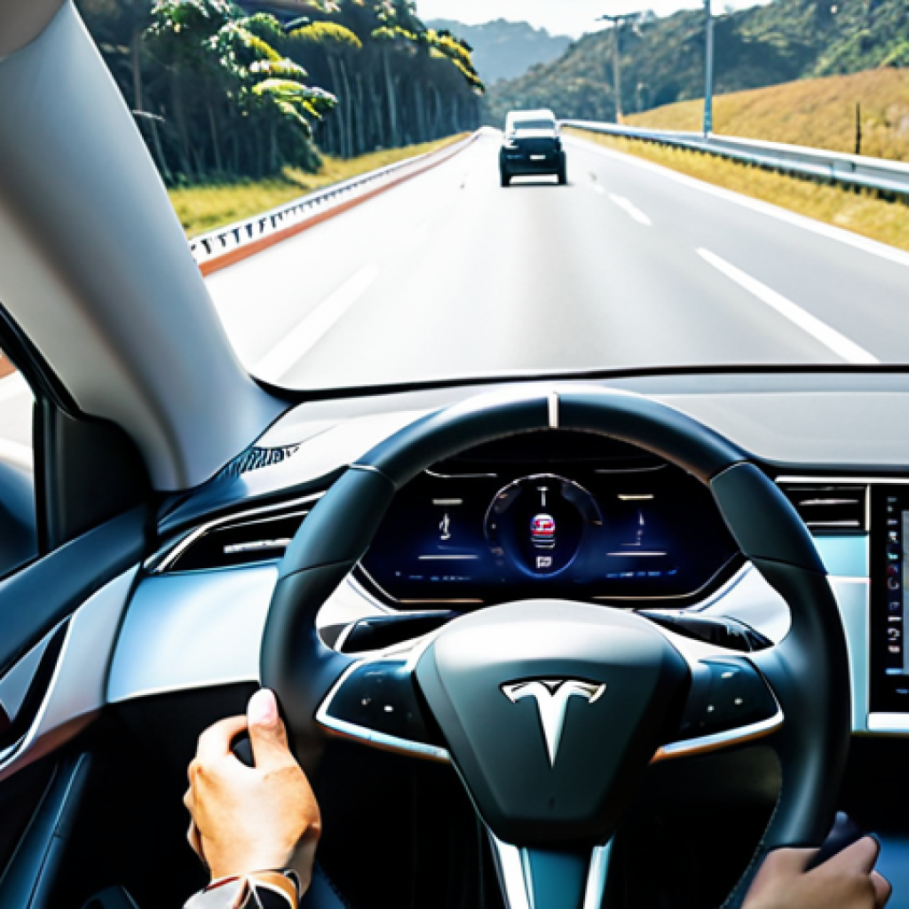 테슬라 차량의 자율주행 기술 발전 - Tesla Autopilot on a Highway**
"A Tesla Model 3 driving on a sunny highway in Brazil, using Autopil...